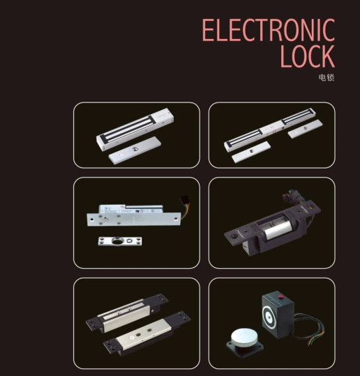 Electronic Lock Access Control System/Best Electronic Door Lock/Electronic Keyless Door Locks/Electronic Front Door Lock with CE Certificate