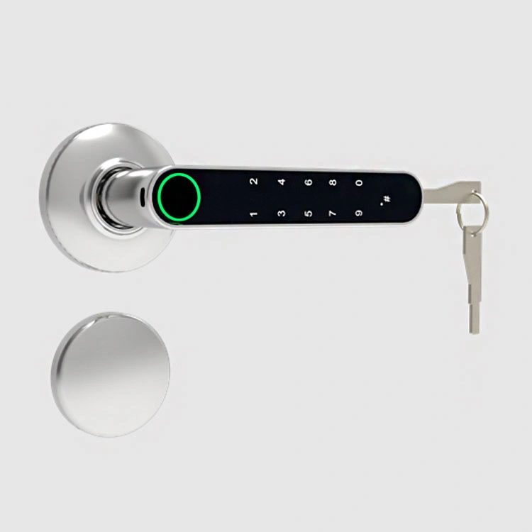 Electronic Door Lock Keyless Entry Door Lock, Door Locks with Keypads, Handle, Passcode, Fingerprint, APP