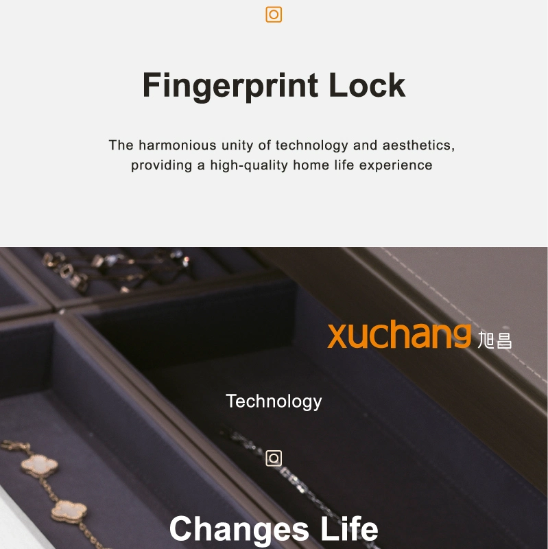 USB Rechargeable Keyless Electronic Cam Cabinet Lock Smart Fingerprint Drawer Lock