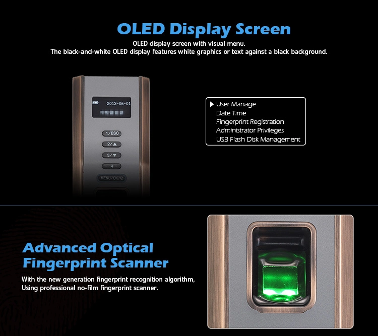 European Standard Electronic Fingerprint Smart Enabled Keyless Cylinder Door Lock