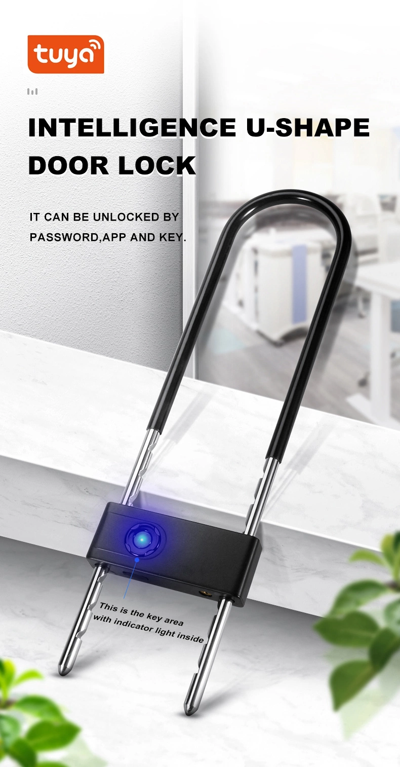 Smart Fingerprint Lock for Warehouse Office Security Tuya APP Fingerprint Glass Door U-Lock