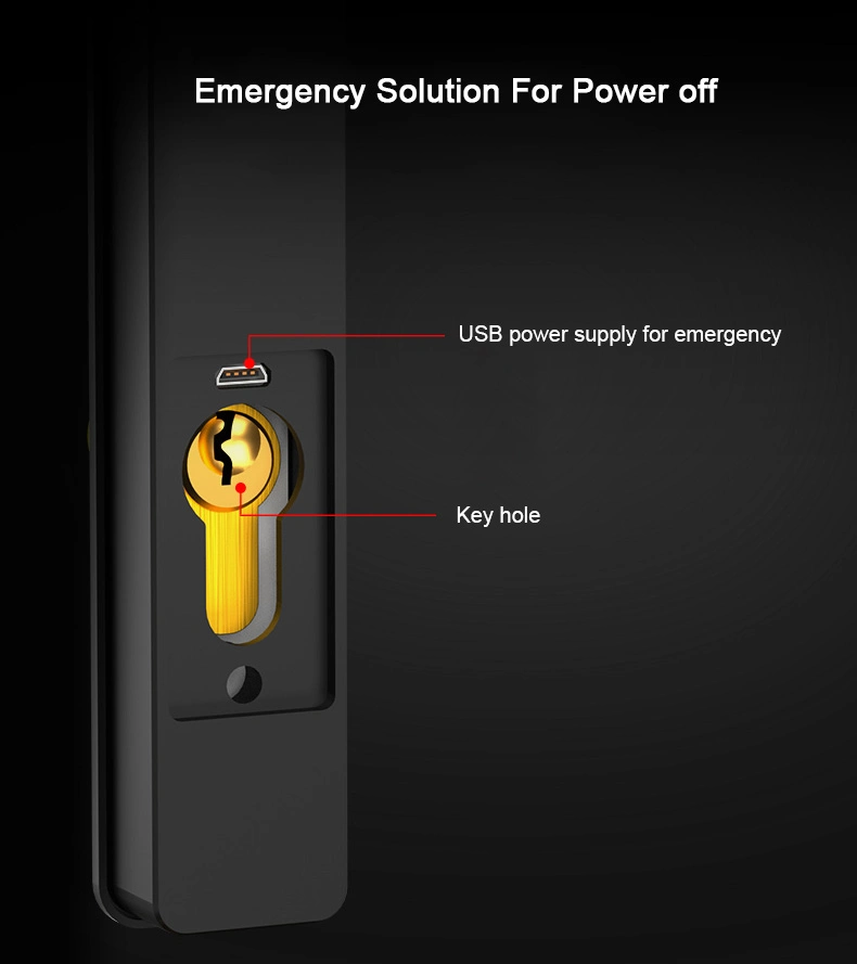 Household Keyless Electronic Biometric Fingerprint Lock with Waterproof Feature