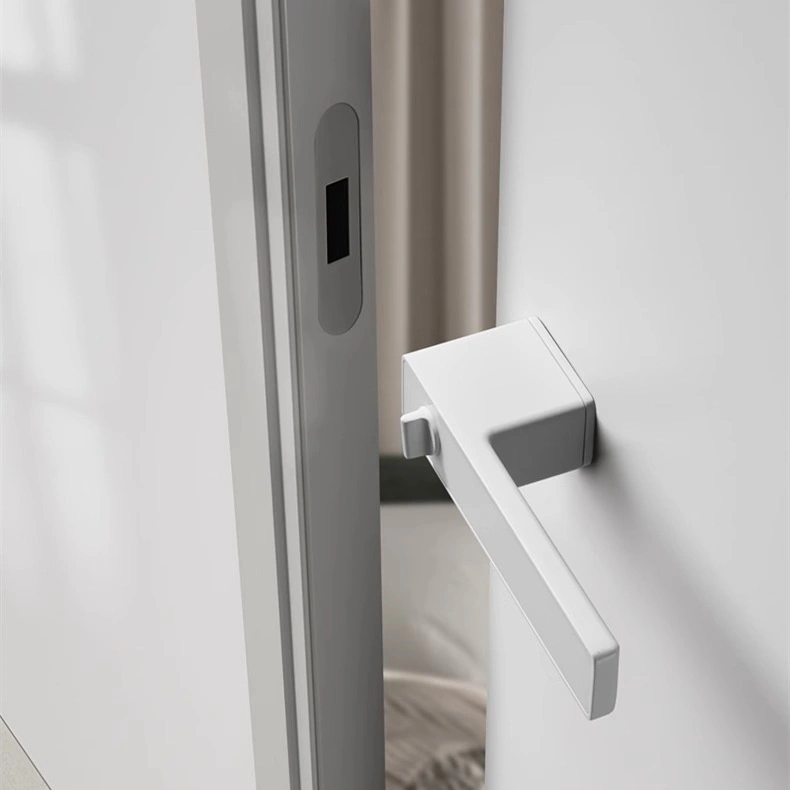 Modern Luxury Door Hardware Zinc Alloy Lever Handles Interior Doors Black Pull Handle Mortise Silent Door Lock Handle for House