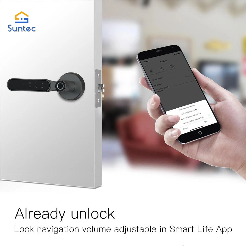 Best Sale Tuya Smart Door Lock Multiple Unlocking Fingerprint Password RFID