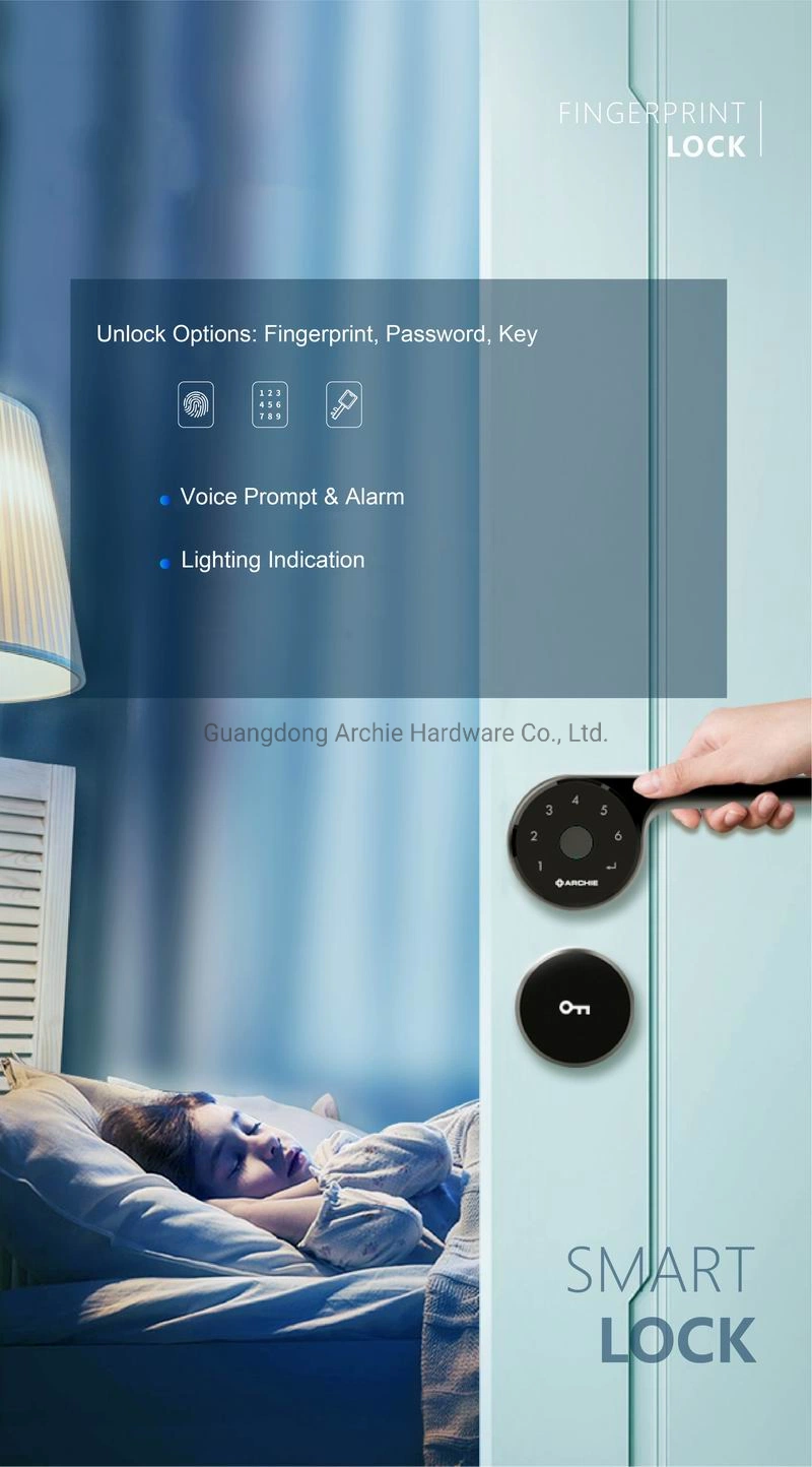 Anti Bacterial Biometric Fingerprint Digital Smart Apartment Door Handle Lock