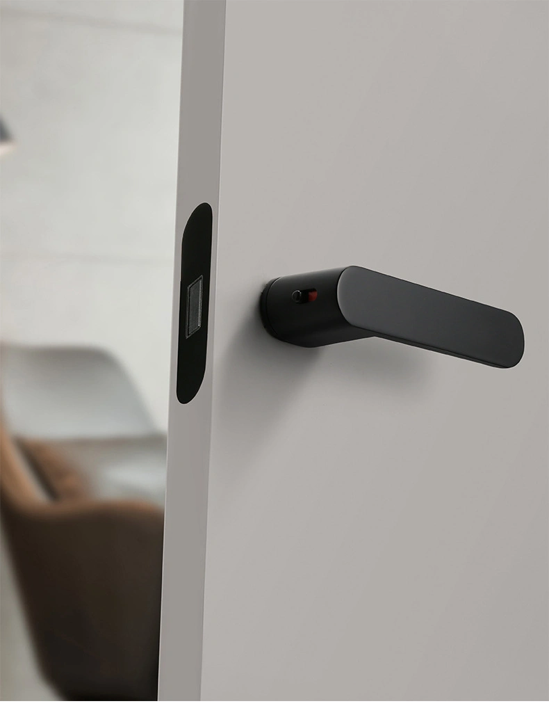 Modern Minimalist Luxury Door Handle One Word Silent Bedroom Door Lock Zinc Alloy Black Door Handle