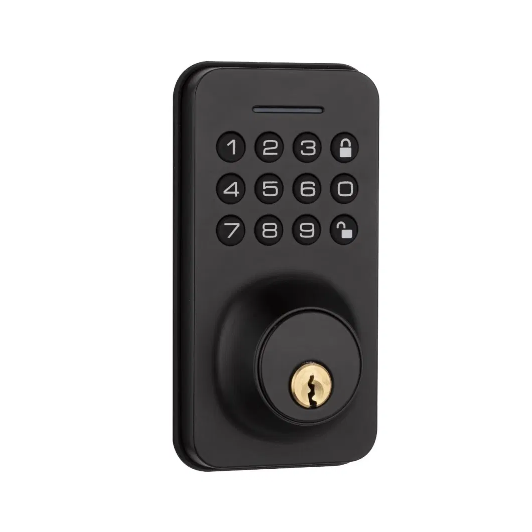Keyless Entry Door Lock Fingerprint Door Lock Safe Front Door Handle with Fingerprint Bluetooth APP Key Unlock for Home Office Apartment Electronic Door Lock