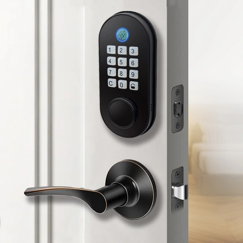 Remote Control Biometric Fingerprint Password Smart Door Lock