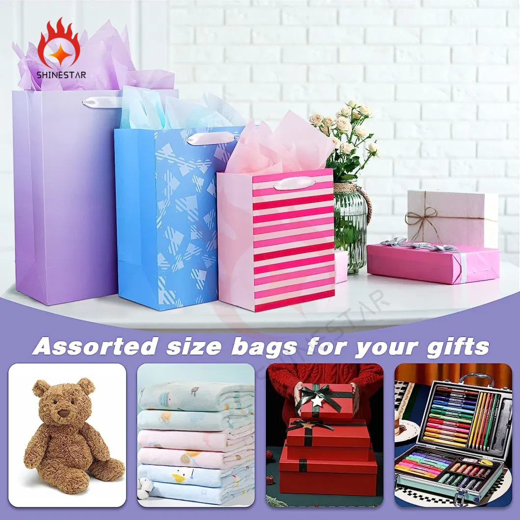 Assorted Sizes and Designs Bulk with Tissue Paper Gift Packaging Colorful Packing Bags