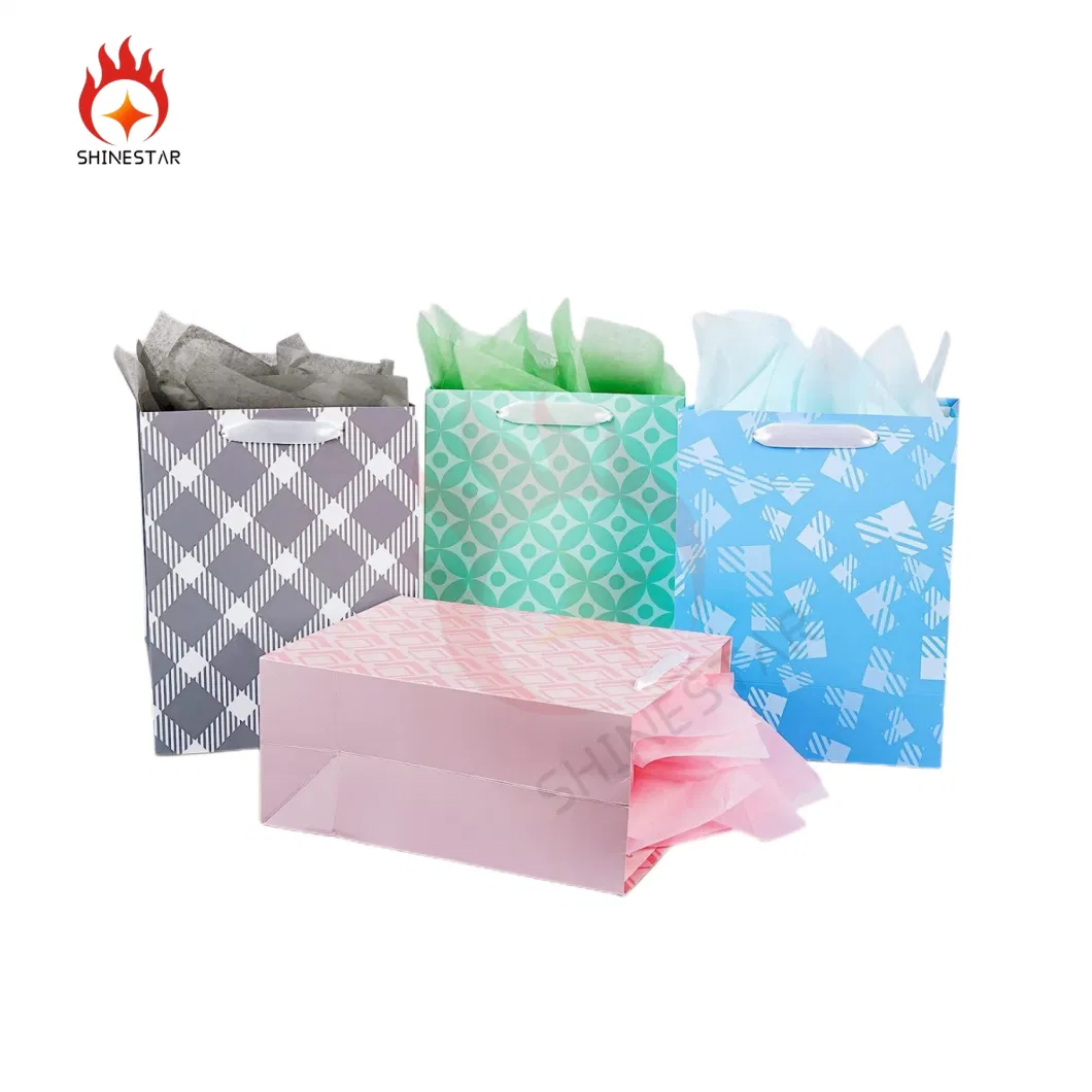 Assorted Sizes and Designs Bulk with Tissue Paper Gift Packaging Colorful Packing Bags