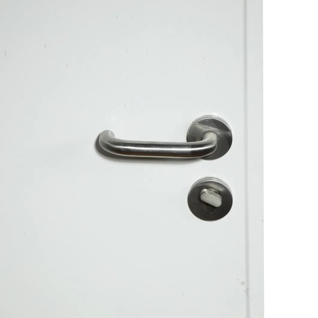 High Quality Cheap Prehung Modern Design Entry T Interior Steel Door Tubular Lock