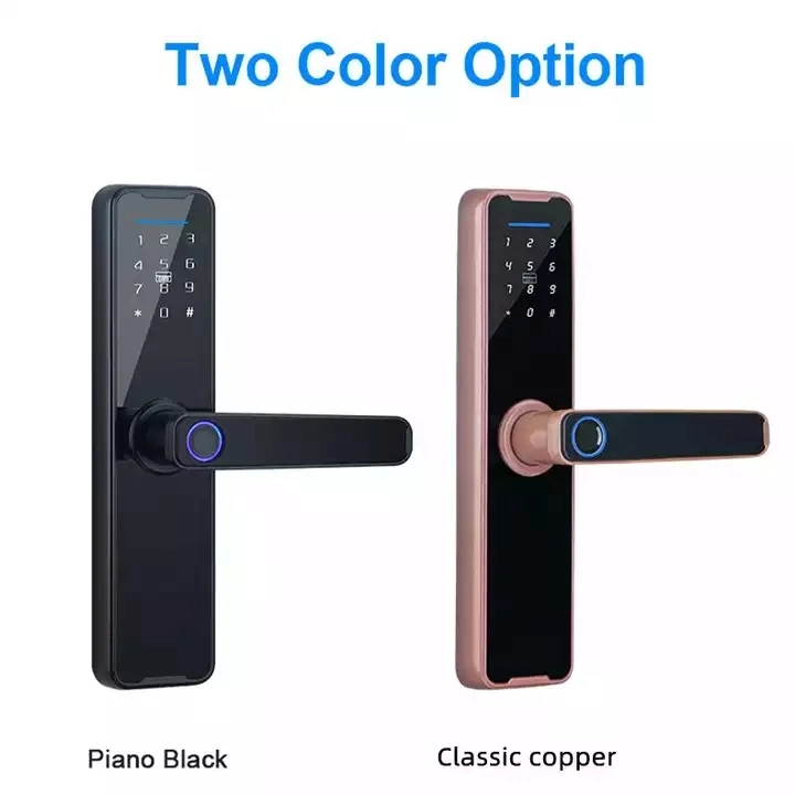 Smart Ttlock Tuya Front Digital Biometric Password Finger Print Deadbolt External Locks Key Fingerprint Door Lock for Home