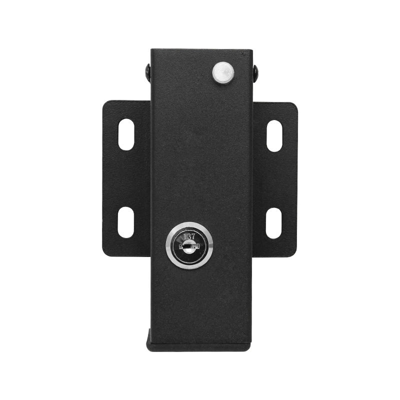 Automatic 24VDC Latch Smart Swing Gate Electric Lock