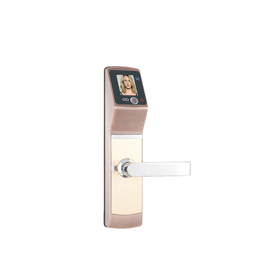 Hf 6618 Face Recognition Smart Facial Door Lock