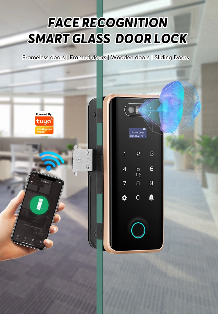 3D Facial Recognition Smart Sliding Glass Door Lock for Office