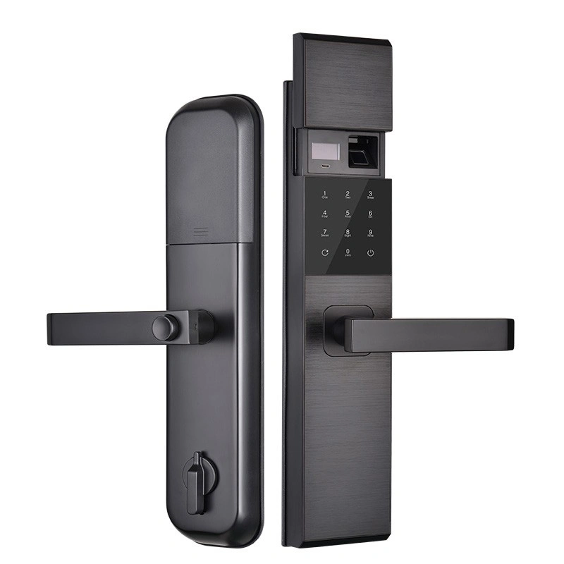 Combination Safe Magnetic Code Fingerprint Smart Door Lock Hardware Handle