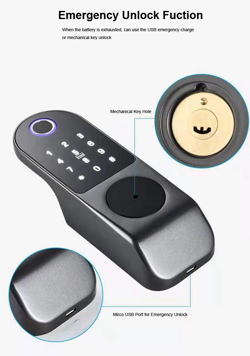 Ttlock Smart Door Lock Outdoor Tuya WiFi Fingerprint Lock Double Side Digital Code IC Card APP Electronic Apartment Gate Lock