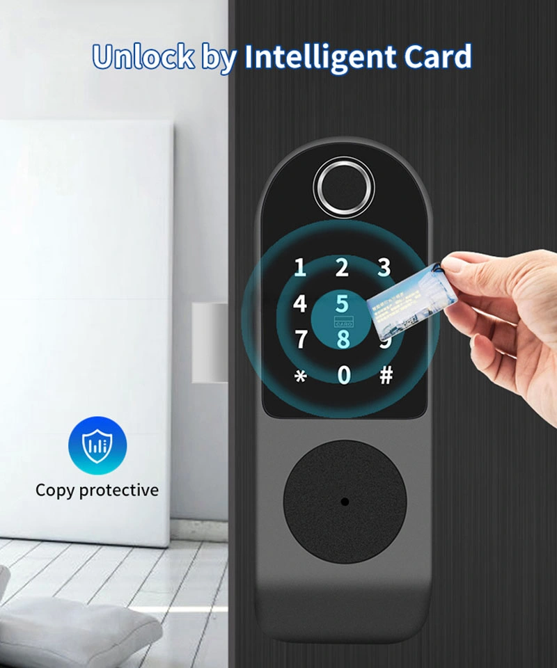 Ttlock Smart Door Lock Outdoor Tuya WiFi Fingerprint Lock Double Side Digital Code IC Card APP Electronic Apartment Gate Lock