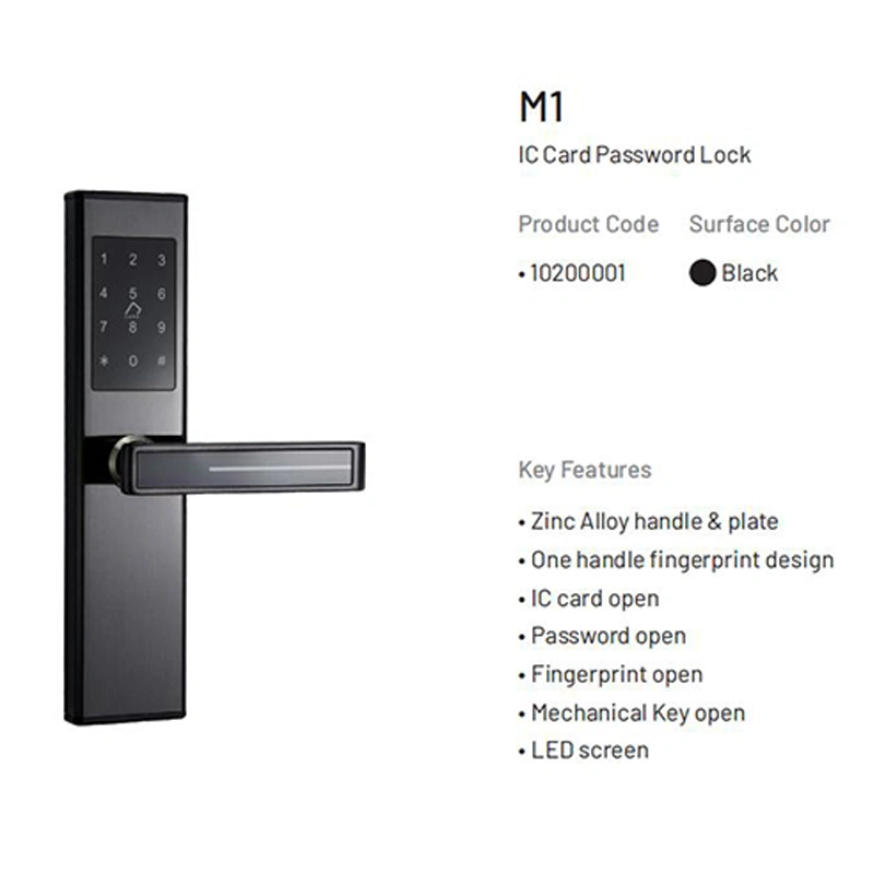 Door Handle Fingerprint Lock Biometric Fingerprint Digital Cylinder WiFi Smart Double Phone APP Access Door Lock