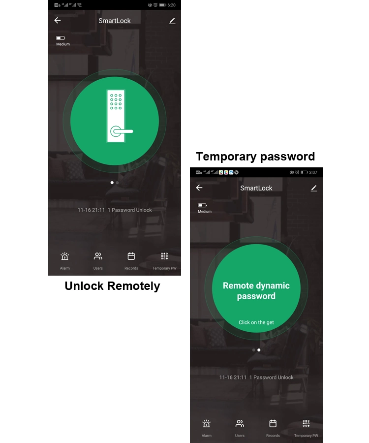 Ttlock Smart Door Lock Outdoor Tuya WiFi Fingerprint Lock Double Side Digital Code IC Card APP Electronic Apartment Gate Lock