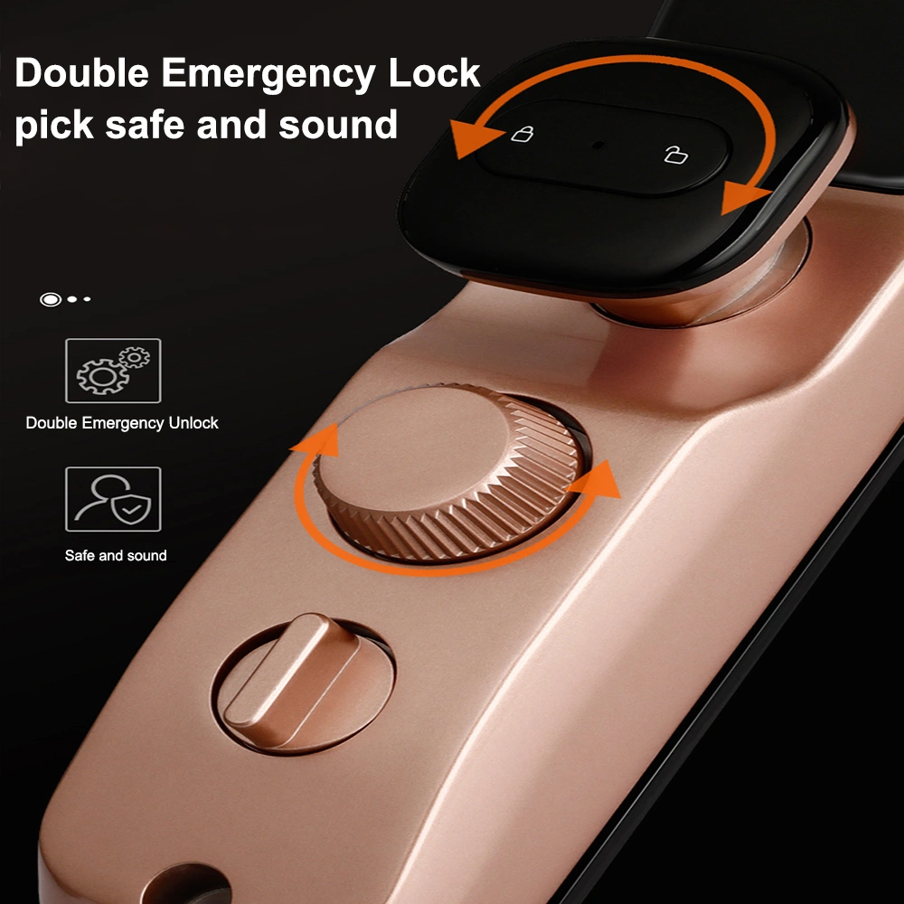 Anxinshi Door Lock Smart WiFi APP Access Control Fingerprint Card Door Lock Tuya Smart Lock Face Recognition Voice Lock