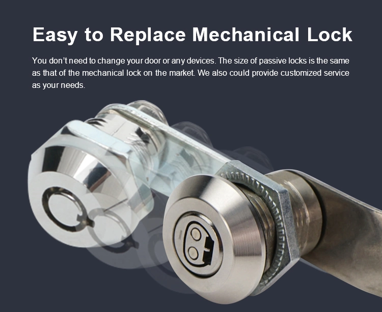 Chinese Manufacturer Smart Lock and Keys High Quality Lock Smart Door