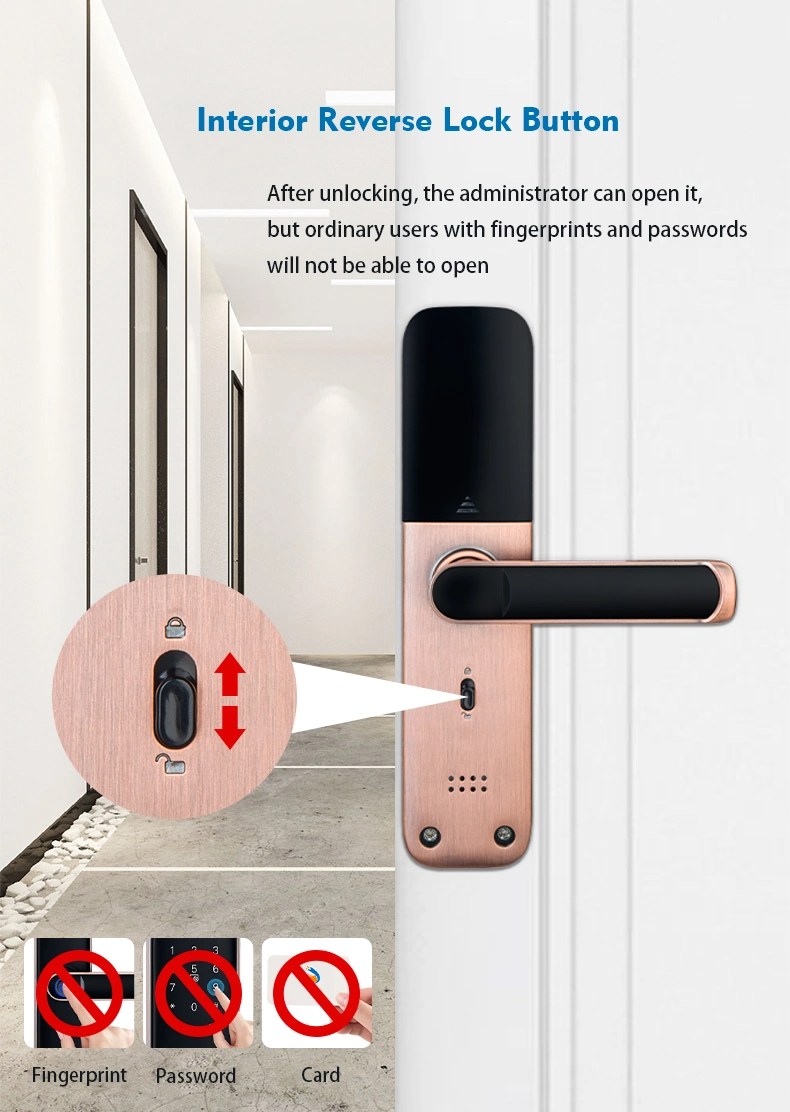 High Security Key Fingerprint Password Semi-Automatic Electronic Handle Tuya Ttlock WiFi Bedroom Office Apartment Hotel Smart Lock