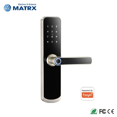  WiFi Smart Home доступ без ключа цифровой пароль Блокировка двери отпечаток пальца Блокировка