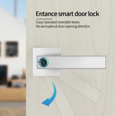 Интеллектуальный электронный дверной замок безопасности отпечатков пальцев с одной спальней отель двери дверные замки