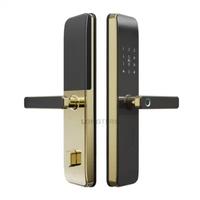 Новое обновление дизайн моды Smart Door Lock для офиса квартиры Многофункциональный цифровой дверной замок в отеле