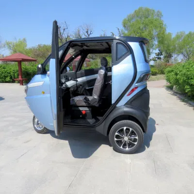 City Travel EEC 3-Wheels Mini Smart Car