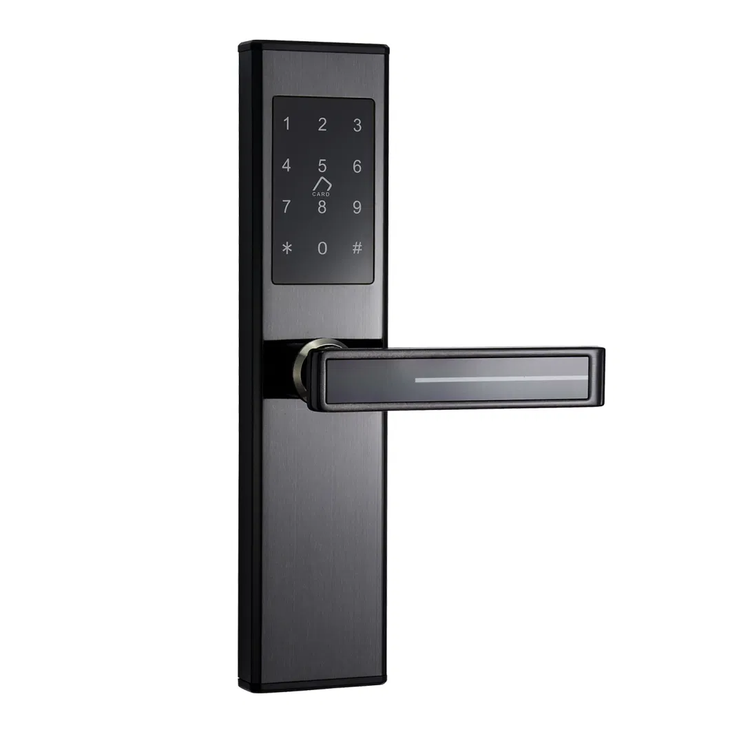 Password Digital LED Screen Keypad Smart Hotel Door Lock