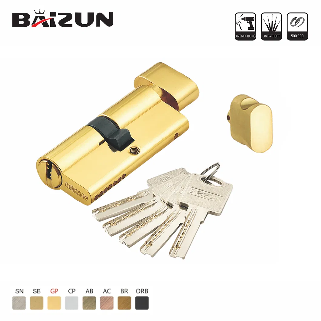 High Security Customized Door Cylinder Lock for House Security with Normal Key