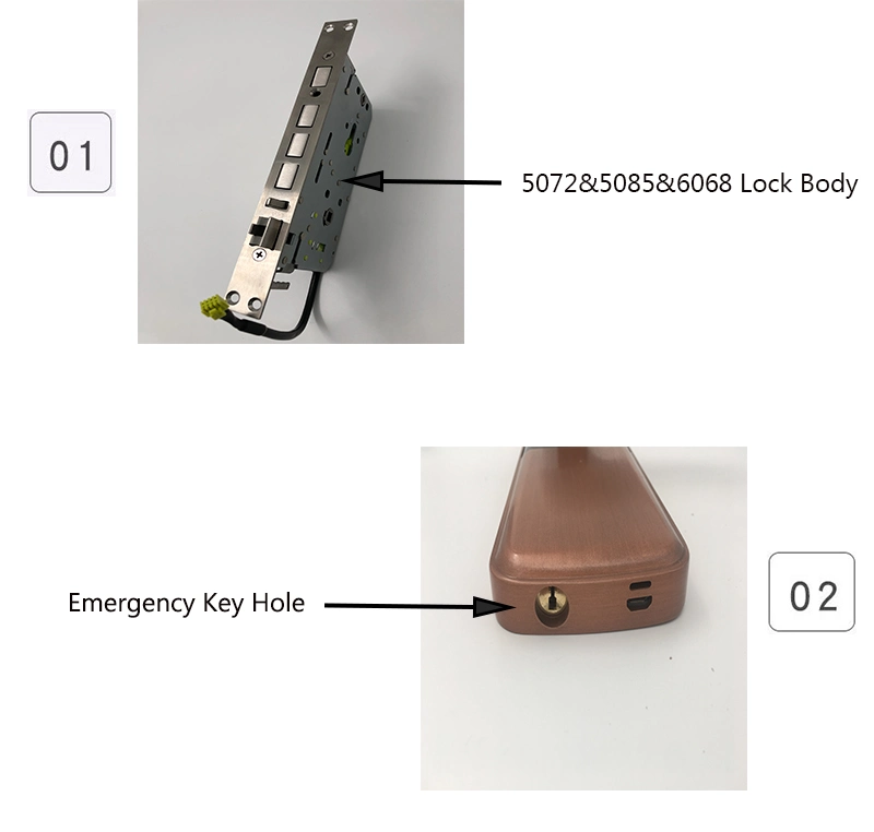 Smart Lock Fingerprint Door Lock Connect with Zigbee, Fingerprint/Password/Key/Card for Home/Hotel/Apartment