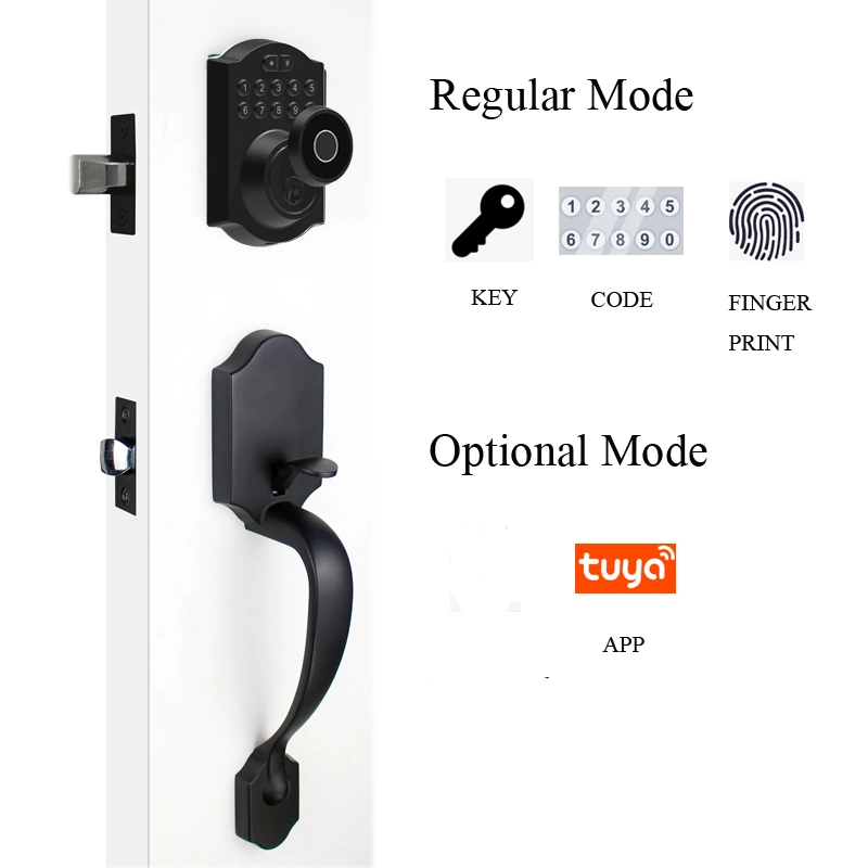 Zinc Alloy Material Smart Entrance Lock Tuya APP