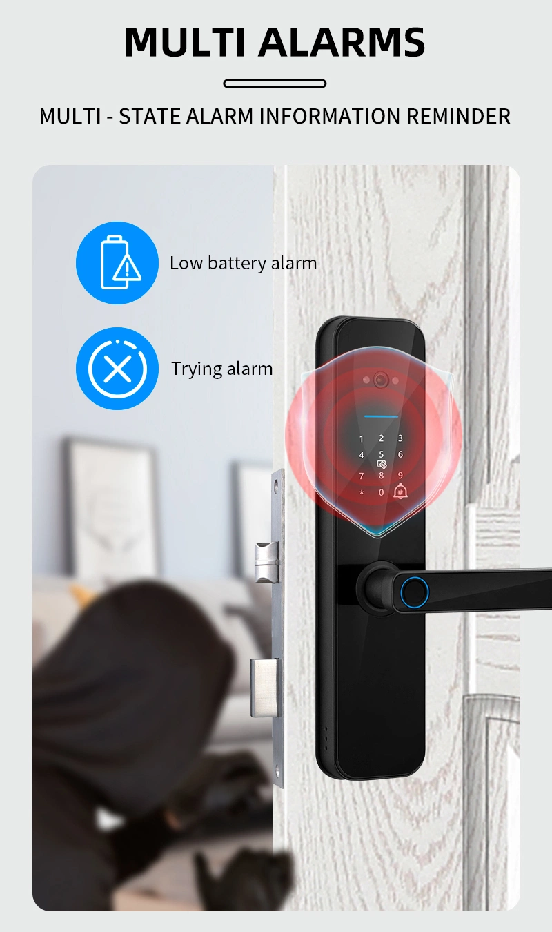 Wholesale Apartment Safe Tuya WiFi Door Camera Smart Lock with HD Screen