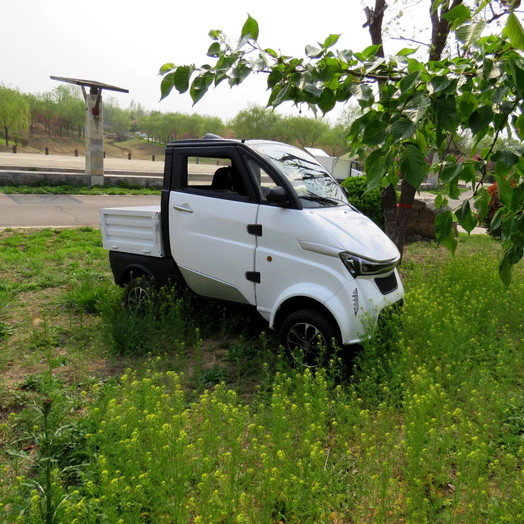 EEC Smart Electric Car New Energy Electricity Truck