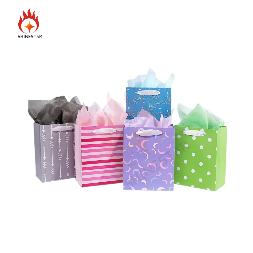 Assorted Sizes and Designs Bulk with Tissue Paper Gift Packaging Colorful Packing Bags