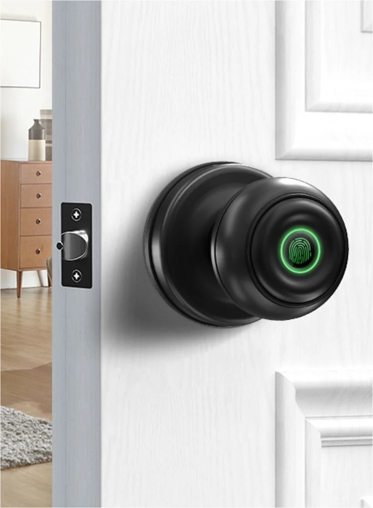 Entry Safety Professional Bedroom Electronic Biometric Fingerprint Control Smart Door Knobs Lock