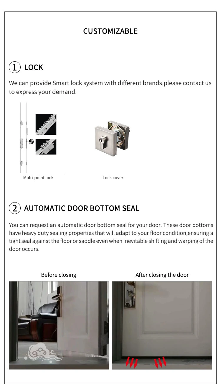 Good Price Front Entry Door Modern Smart Lock Entrance Pivot Door