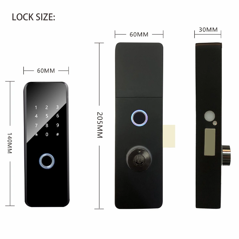 New Electronic Ttlock APP Smart Door Lock for Gate Door