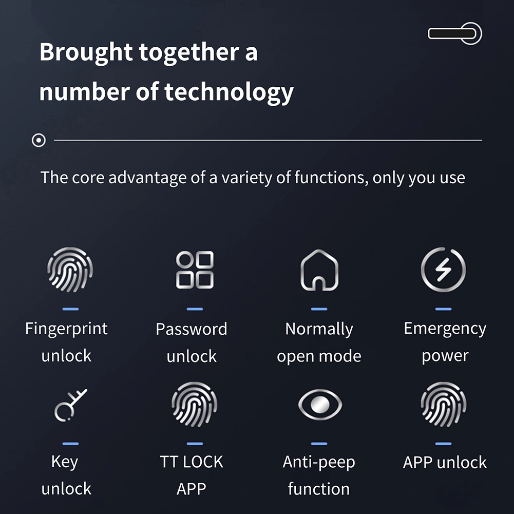 Smart Lock APP Control Fingerprint Password Household Lever Handle Lock Electronic Door Locks for Home Office