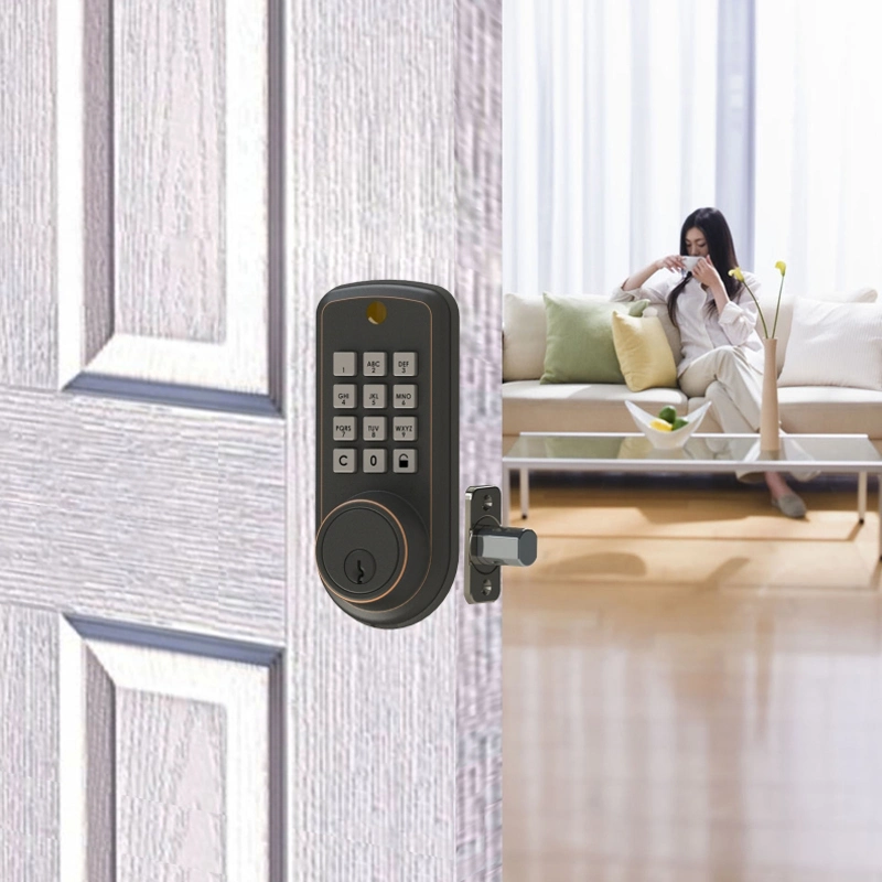 Smart Home System Safe Password Control Smart Aluminum Door Lock