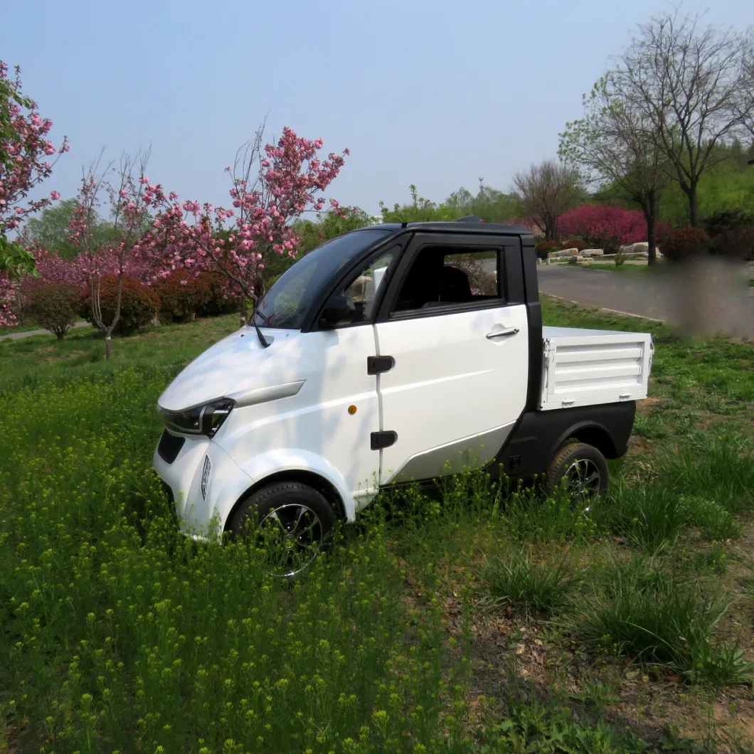 EEC Smart Electric Car New Energy Electricity Truck