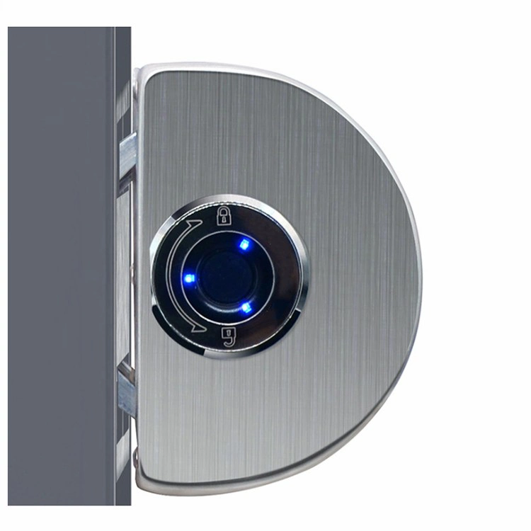 Safe No Drilling Intelligent Fingerprint Biometric Glass Door Smart Lock