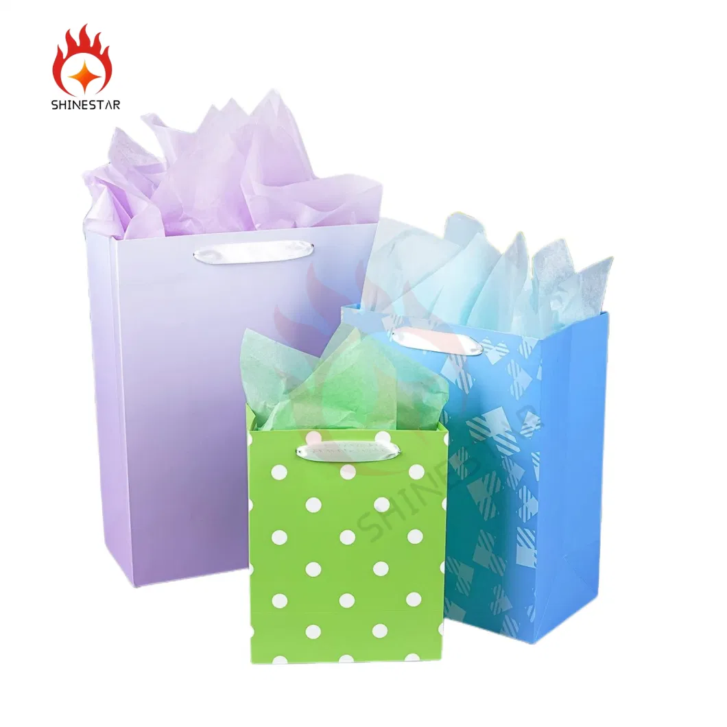 Assorted Sizes and Designs Bulk with Tissue Paper Gift Packaging Colorful Packing Bags