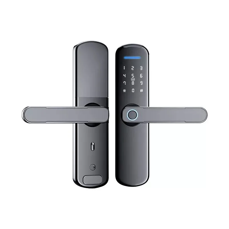 Smart Card Fingerprint Interior Wooden Doors Lock Home Office Round Ball Deadbolt Latch Fingerprint Smart Locks