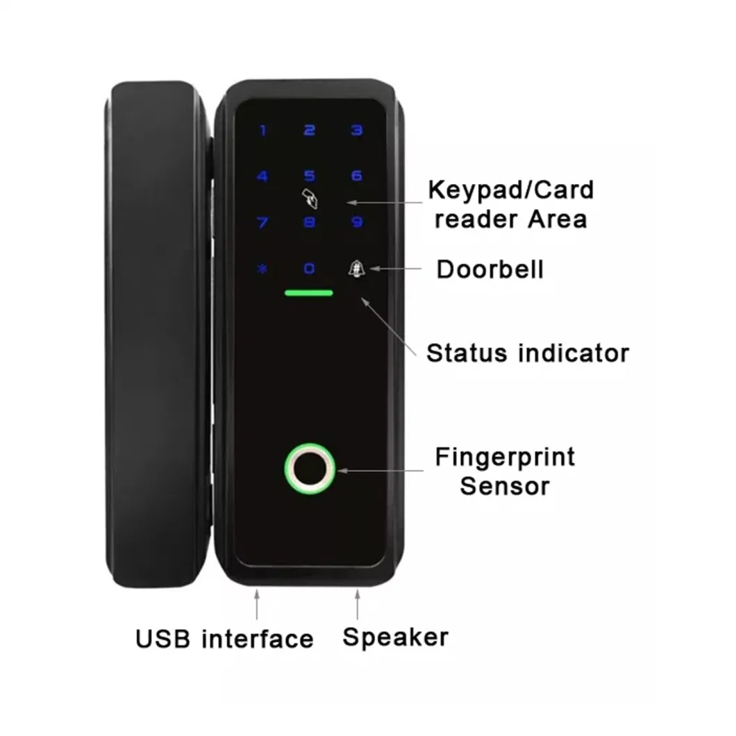 Automatic Biometric Fingerprint Frameless Sliding Electric Smart Glass Door Lock