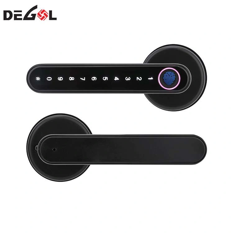 Fingerprint Lock Biometrics Password Code Door Lock with Mechanical Key