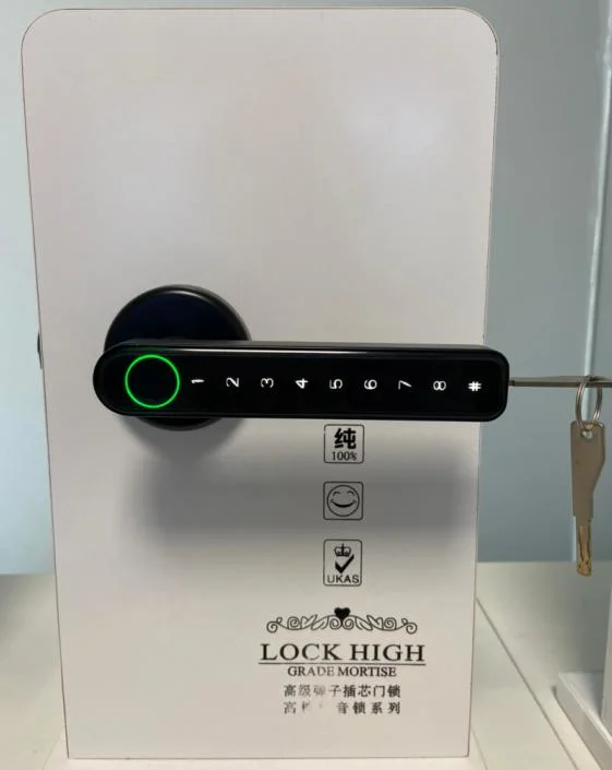 Fingerprint Lock Biometrics Password Code Door Lock with Mechanical Key